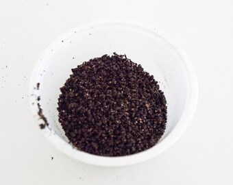 Worm Castings - Hermit Crab Food - Organic - Hermit Crab - Pet Food