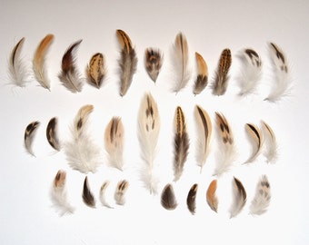 Cruelty Free Brown White + Black Assorted Natural Duck Feathers - Great for Crafts, Jewellery, Scrapbooking + Dreamcatchers - Ethical