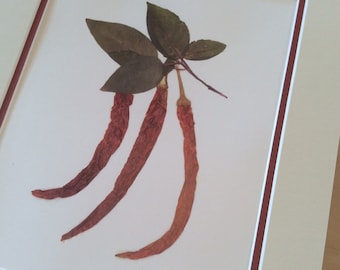 Kitchen Decor- Dried Red Hot Pepper Print