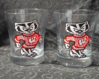 Wisconsin Badgers