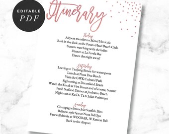 Itinerary Card, Itinerary Template, Rose Gold, Editable, Hens Night, Hens Weekend, Bachelorette Party, Bridal Shower, Printable