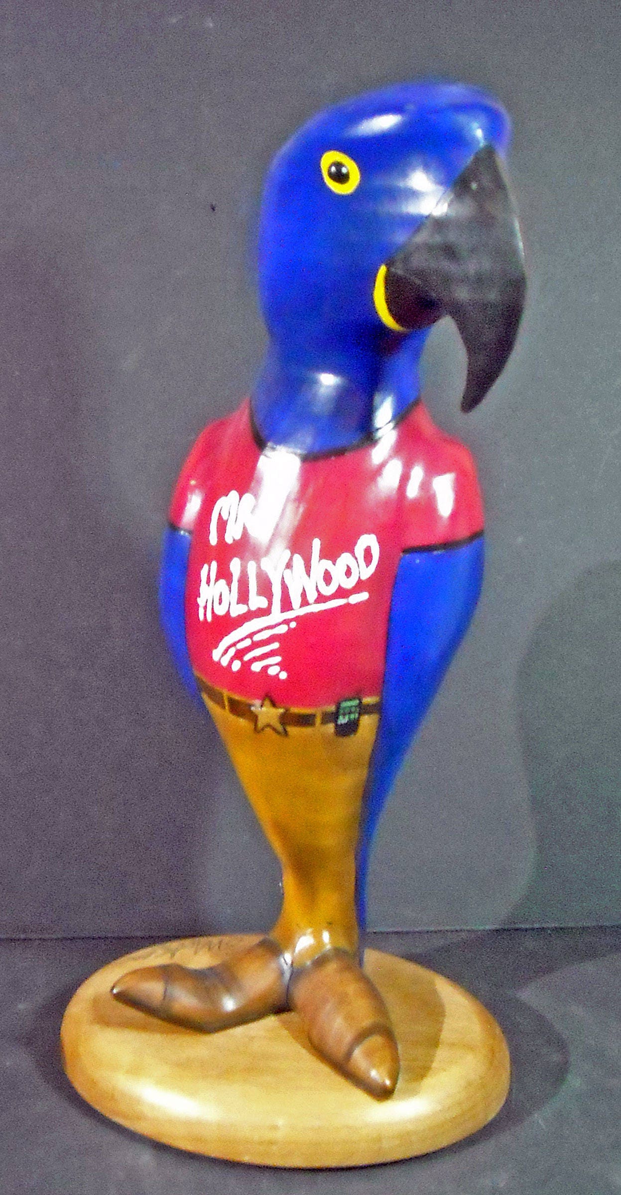 gallery photo