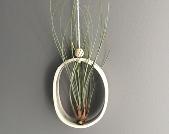 Medium Oval or Round Airplant Cradle Sling Hanging Planter Display for Air Plant Made To Order