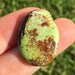 26.5 Carat Apple Green Western Australia Gaspeite Oval Cabochon | Gaspeite Cabochons | Jewelry Making | Ring Making | Stones | Gemstones |
