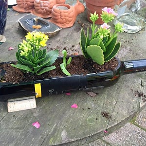 SALE! - Planter For Succulent Garden (no plants) / Bottle Garden / Wine Bottle Planter / Succulent Planter / Wine Gift / Indoor Planter