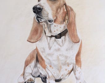 Bassett Hound greeting card