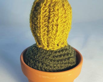 Crochet Barrel Cactus with White Flower