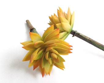 Korean hens and chick, yellow succulent, echeveria, succulent pot, faux succulents, artificial succulent, yellow echeveria, small succulent