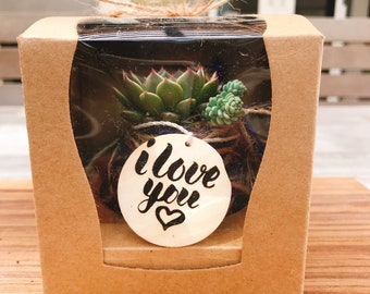 Kokedama with gift box! Moss ball with assorted succulents in the giftbox.