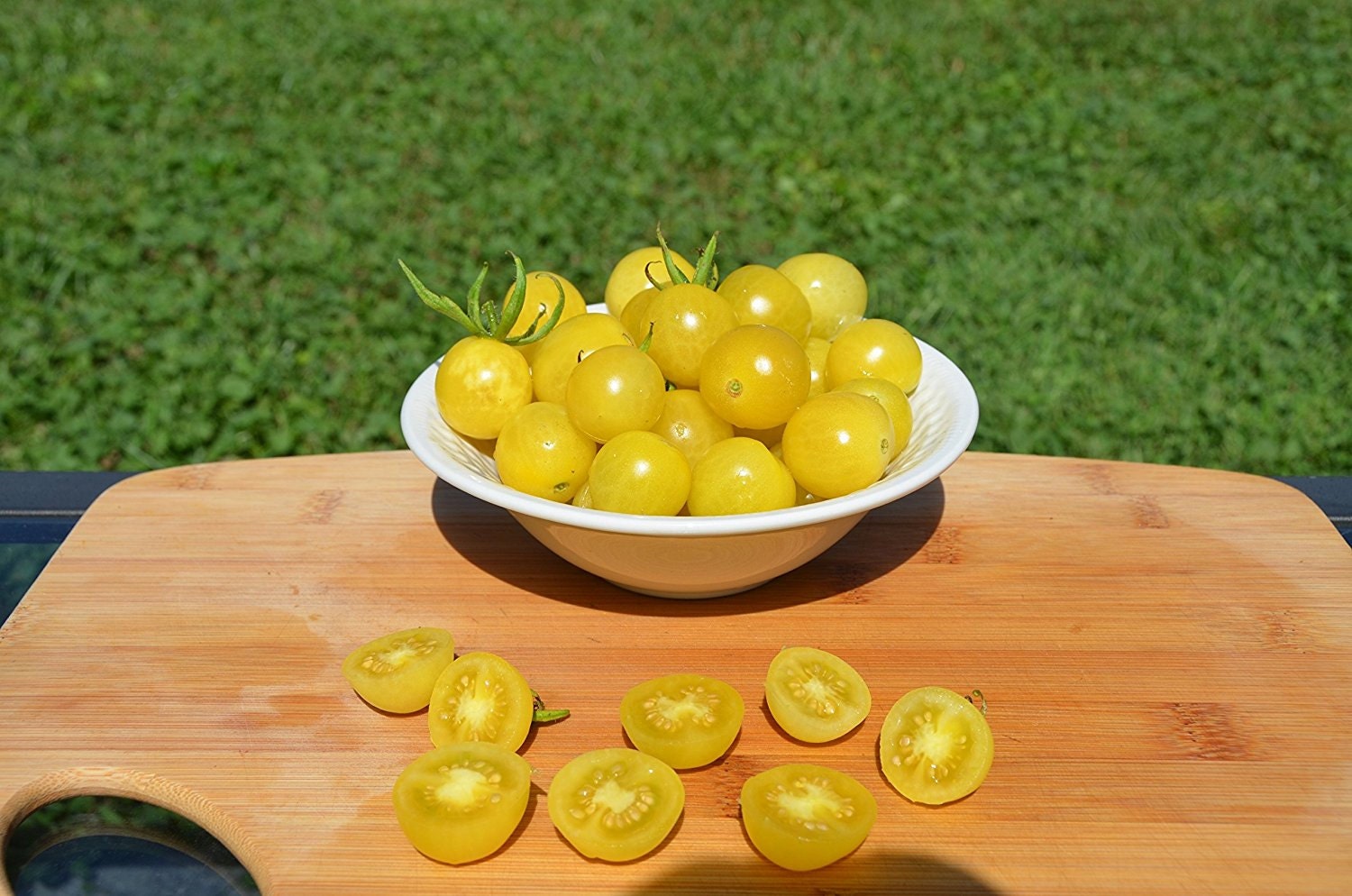 Lemon drop tomato plants