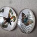 x 2 mixed cameo/cabochon oval glass dome pattern Butterfly 25 x 18 mm