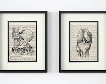 Hip, Knee over Vintage Medical Book Pages - Set of 2 Prints, Physical Therapy, Nurse, Orthopedic Gift, Physical Therapist Gift
