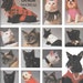 Dog Cat Coat and Collars Sewing Pattern Small to Large Simplicity 8416