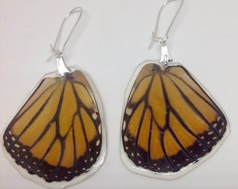 Real Butterfly Wing Earrings Monarch Butterfly Earrings Vintage Butterfly Wings Butterfly Wings Butterfly Jewelry Monarch Butterfly Earrings