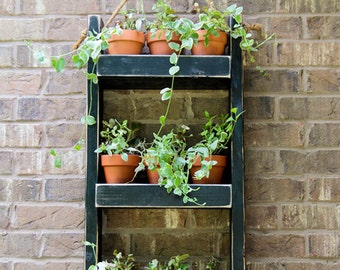 Beaune Wall Planter - Plant Pots Now Available - Hanging Planter | Shelf Planter | Hanging Shelves | Wall Succulent Planters