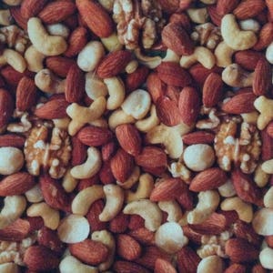 One Half Yard Piece of Fabric Material - Mixed Nuts