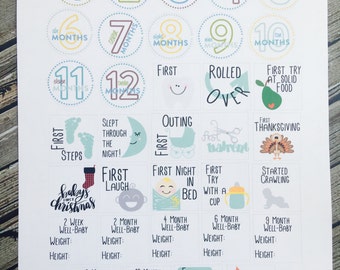 Pregnancy Planner Stickers Printable Milestones Planner