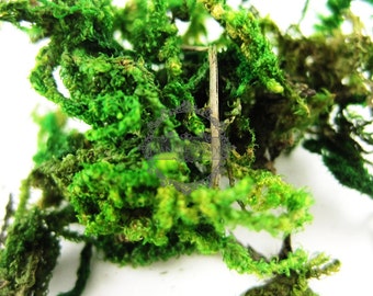 12gram real dry preserved dyed green lichen moss for DIY glass dome filling 1503005