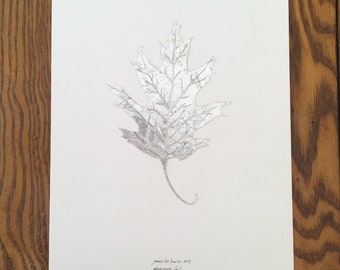 Oak Leaf Silhouette Papercutting from Trash Series