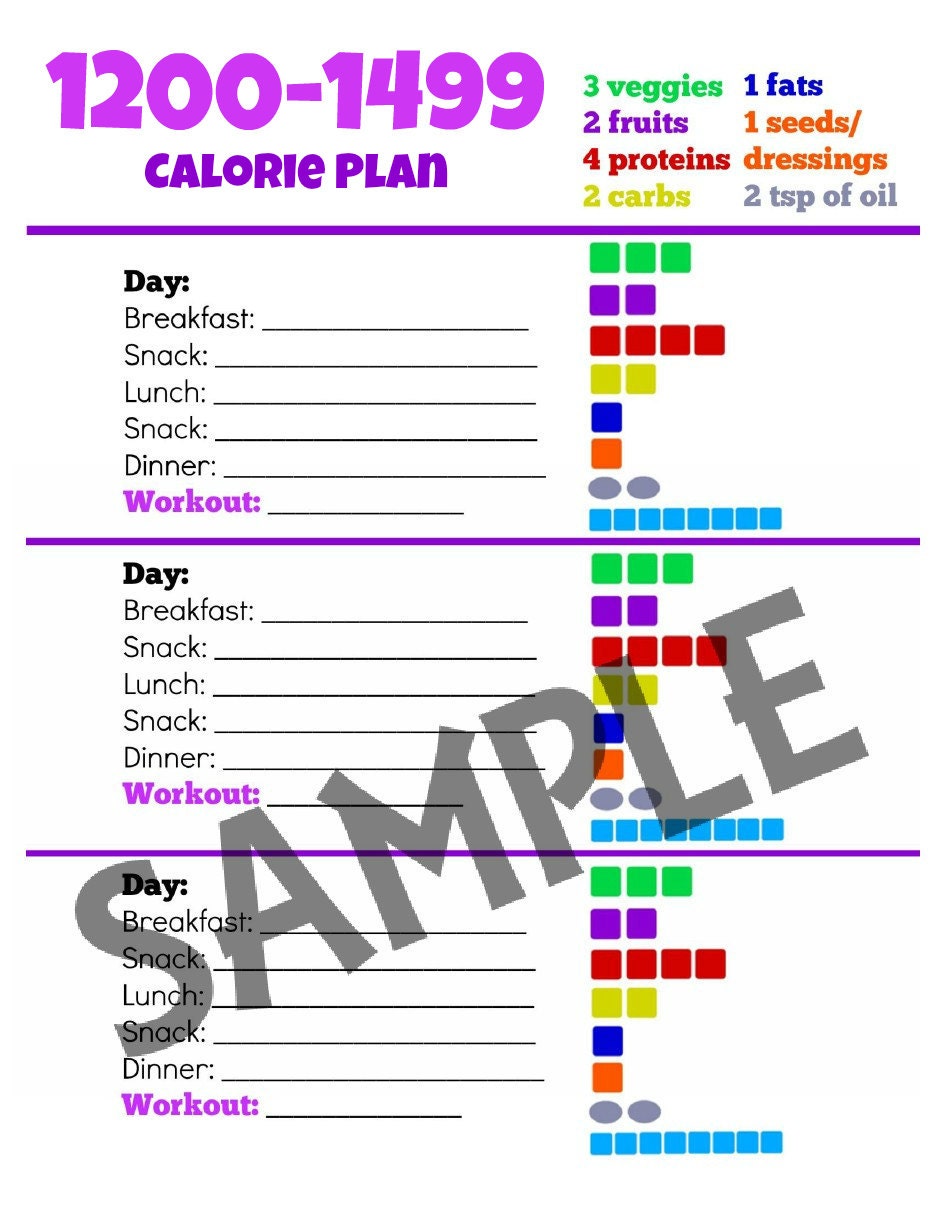 1200-1499 Calorie Diet PLANNER Tally Sheet PDF Printable