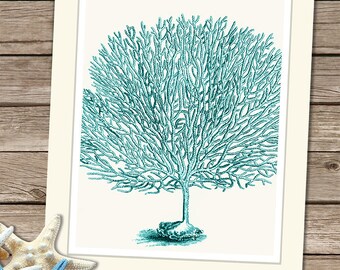 Sea Coral Art 7 in Turquoise - Nautical print coastal Bathroom wall art coastal bathroom decor bathroom poster sea coral print coral decor