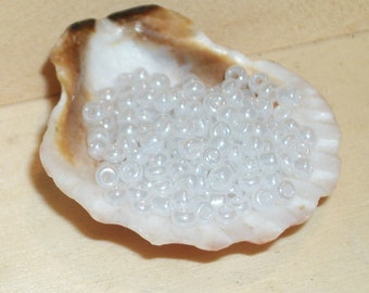 12/0 White lustered finish glass seed beads (1.5~2 mm)- 3" x 1/2" tube-(141)