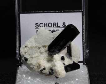 Schorl, Black Tourmaline Crystal Specimen in Perky Box