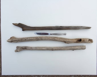 Driftwood pieces from Lake Erie - Driftwood supply - Large driftwood - Bulk driftwood - Driftwood decor - Driftwood for arts and crafts