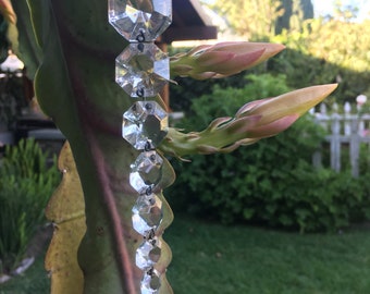 Vintage chandelier crystals