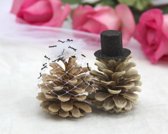 Wedding cake toppers, pinecones Rustic Mountain Wedding bleached pinecones, birdcage wedding fascinator, black top hat, veil fascinator