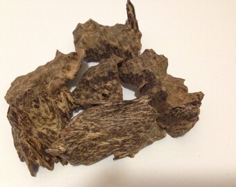 Wild Agarwood from Vietnam