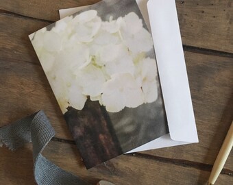 Hydrangea Note Card, white, photo, American Grown Collection