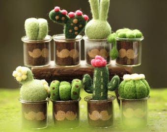 Needle felting kit - cactus moustache set