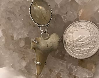 Shark Tooth and Golden Rutilated Quartz Pendant Necklace
