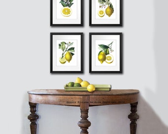 Kitchen Decor, Lemons Print, Kitchen Art, Fruit Print. Citrus Fruit Wall Art Set of 4 unframed Art prints Vintage Botanical Art gift for mom