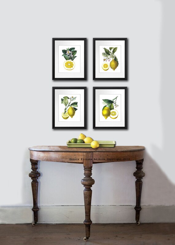  Kitchen Decor Lemons Print Kitchen Art Fruit Print Citrus