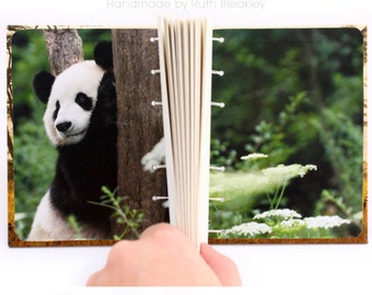 Savannah Journal with Zebras - handmade by Ruth Bleakley - 160 Page Unlined Journal