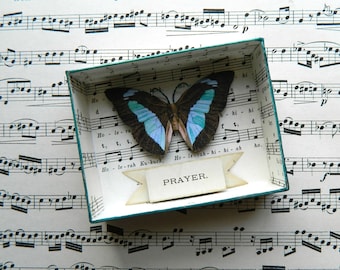 Butterfly Shadow Box, Prayer Shadowbox, Prayer Gift, Matchbox Art, Prayer, Assemblage Art, Small Art, Shadowbox, Matchbox Art, Blue & Cream