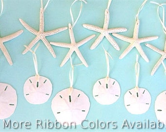 Beach Christmas Ornaments - Set/12 Natural or Glittered - coastal Christmas nautical