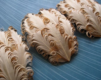 CLEARANCE - Imperfect Buttercream Feather Pads - 3.00 ea