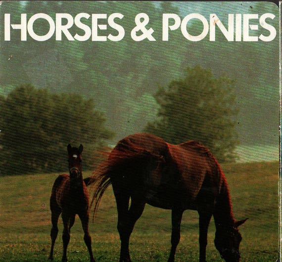 Horses and Ponies Board Book + 1984 + Vintage Kids Book