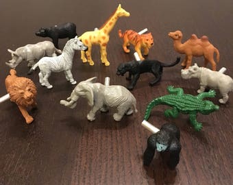 Safari Drawer Knobs