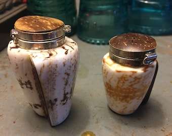 Vintage Shell Salt + Pepper Shaker Set