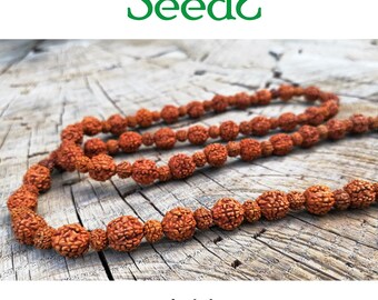 Natural Seeds Necklace-Rudraksha