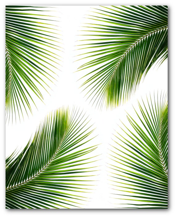 Palm Leaf Print Abstract Tropical Leaf Summer Art Tropical