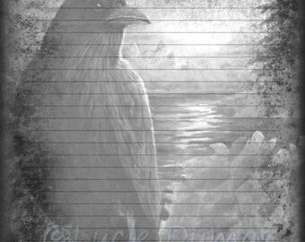 Digital Printable Journal writing lined Page Bird 64 Crow