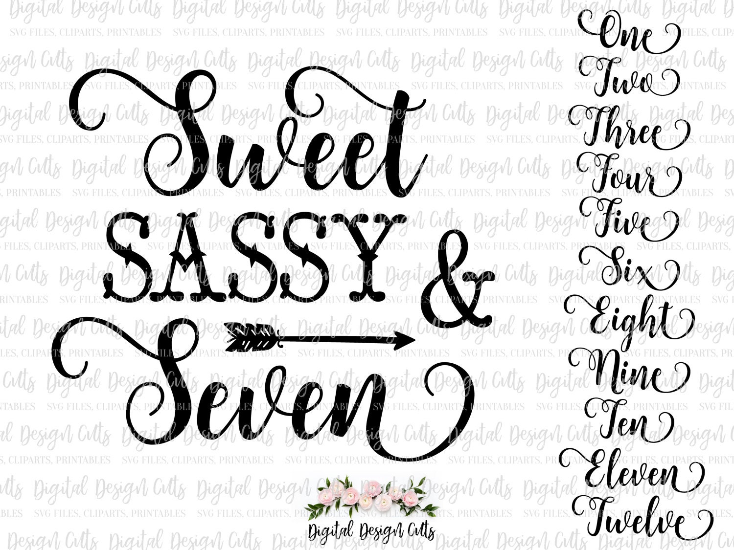 Sweet Sassy and Seven Iron-on Sweet Sassy and Three SVG