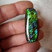 Ammolite Cabochon