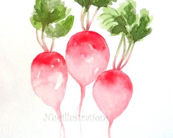 Radish ORIGINAL Watercolor Painting Kitchen Art Vegetable Garden illustration Botanical Hand Painted A4