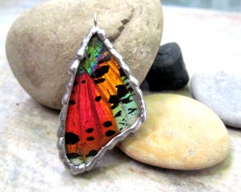 Madagascan Sunset Moth Pendant